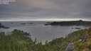 ./images/calvert/foggy-cove/20250720/foggy-cove20250720_064010M.jpg