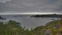 ./images/calvert/foggy-cove/20250720/foggy-cove20250720_064508M.jpg
