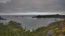 ./images/calvert/foggy-cove/20250720/foggy-cove20250720_070010M.jpg
