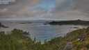 ./images/calvert/foggy-cove/20250720/foggy-cove20250720_073508M.jpg