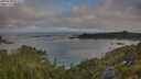 ./images/calvert/foggy-cove/20250720/foggy-cove20250720_074510M.jpg