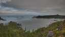 ./images/calvert/foggy-cove/20250720/foggy-cove20250720_081010M.jpg