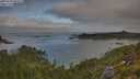 ./images/calvert/foggy-cove/20250720/foggy-cove20250720_082007M.jpg