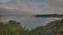 ./images/calvert/foggy-cove/20250720/foggy-cove20250720_083510M.jpg