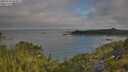 ./images/calvert/foggy-cove/20250720/foggy-cove20250720_084011M.jpg
