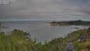 ./images/calvert/foggy-cove/20250720/foggy-cove20250720_085010M.jpg