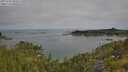 ./images/calvert/foggy-cove/20250720/foggy-cove20250720_090508M.jpg