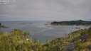 ./images/calvert/foggy-cove/20250720/foggy-cove20250720_092011M.jpg