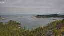 ./images/calvert/foggy-cove/20250720/foggy-cove20250720_092510M.jpg