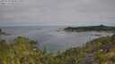 ./images/calvert/foggy-cove/20250720/foggy-cove20250720_093011M.jpg