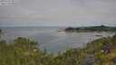 ./images/calvert/foggy-cove/20250720/foggy-cove20250720_093508M.jpg