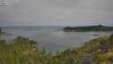 ./images/calvert/foggy-cove/20250720/foggy-cove20250720_094009M.jpg