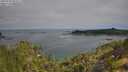 ./images/calvert/foggy-cove/20250720/foggy-cove20250720_094510M.jpg