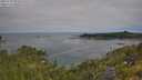 ./images/calvert/foggy-cove/20250720/foggy-cove20250720_095010M.jpg