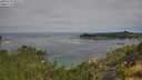 ./images/calvert/foggy-cove/20250720/foggy-cove20250720_095508M.jpg