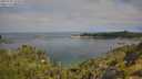 ./images/calvert/foggy-cove/20250720/foggy-cove20250720_101010M.jpg
