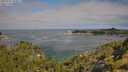 ./images/calvert/foggy-cove/20250720/foggy-cove20250720_102011M.jpg