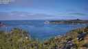 ./images/calvert/foggy-cove/20250720/foggy-cove20250720_103510M.jpg