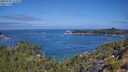 ./images/calvert/foggy-cove/20250720/foggy-cove20250720_111010M.jpg
