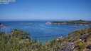 ./images/calvert/foggy-cove/20250720/foggy-cove20250720_114511M.jpg