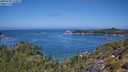 ./images/calvert/foggy-cove/20250720/foggy-cove20250720_115010M.jpg