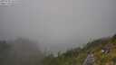 ./images/calvert/foggy-cove/20250720/foggy-cove20250720_162508M.jpg