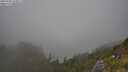 ./images/calvert/foggy-cove/20250720/foggy-cove20250720_163011M.jpg