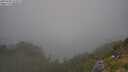 ./images/calvert/foggy-cove/20250720/foggy-cove20250720_164009M.jpg
