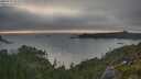 ./images/calvert/foggy-cove/20250720/foggy-cove20250720_203509M.jpg