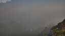 ./images/calvert/foggy-cove/20250721/foggy-cove20250721_065510M.jpg