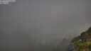 ./images/calvert/foggy-cove/20250721/foggy-cove20250721_070507M.jpg