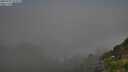 ./images/calvert/foggy-cove/20250721/foggy-cove20250721_071011M.jpg