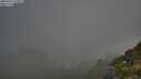 ./images/calvert/foggy-cove/20250721/foggy-cove20250721_072011M.jpg