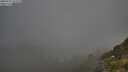 ./images/calvert/foggy-cove/20250721/foggy-cove20250721_072510M.jpg