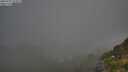 ./images/calvert/foggy-cove/20250721/foggy-cove20250721_073009M.jpg