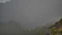 ./images/calvert/foggy-cove/20250721/foggy-cove20250721_073510M.jpg