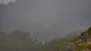 ./images/calvert/foggy-cove/20250721/foggy-cove20250721_074010M.jpg