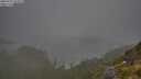 ./images/calvert/foggy-cove/20250721/foggy-cove20250721_074510M.jpg