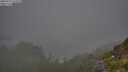./images/calvert/foggy-cove/20250721/foggy-cove20250721_075508M.jpg