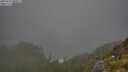 ./images/calvert/foggy-cove/20250721/foggy-cove20250721_080011M.jpg