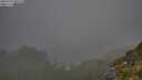 ./images/calvert/foggy-cove/20250721/foggy-cove20250721_080510M.jpg