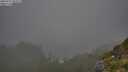 ./images/calvert/foggy-cove/20250721/foggy-cove20250721_081009M.jpg