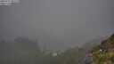 ./images/calvert/foggy-cove/20250721/foggy-cove20250721_081509M.jpg