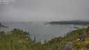 ./images/calvert/foggy-cove/20250721/foggy-cove20250721_092510M.jpg