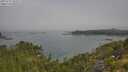 ./images/calvert/foggy-cove/20250721/foggy-cove20250721_093510M.jpg