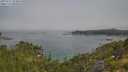 ./images/calvert/foggy-cove/20250721/foggy-cove20250721_094010M.jpg