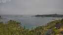 ./images/calvert/foggy-cove/20250721/foggy-cove20250721_094511M.jpg