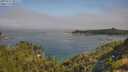 ./images/calvert/foggy-cove/20250721/foggy-cove20250721_095509M.jpg