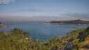 ./images/calvert/foggy-cove/20250721/foggy-cove20250721_101009M.jpg
