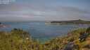 ./images/calvert/foggy-cove/20250721/foggy-cove20250721_102008M.jpg